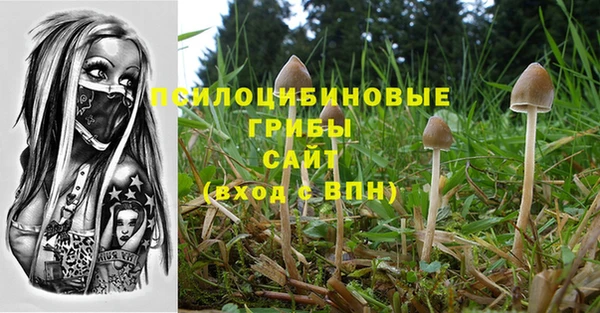 спиды Лабытнанги