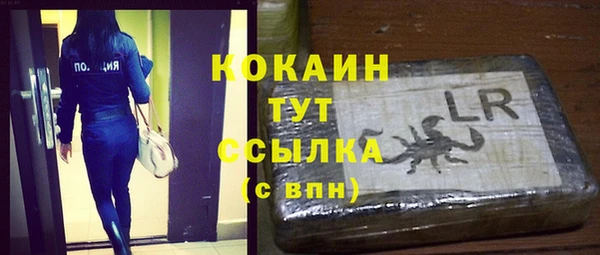 PSILOCYBIN Лагань